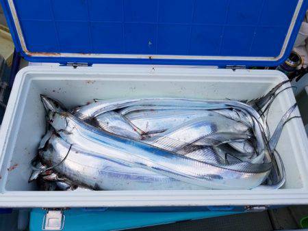 遊漁船　ニライカナイ 釣果