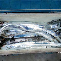 遊漁船 ニライカナイ 釣果