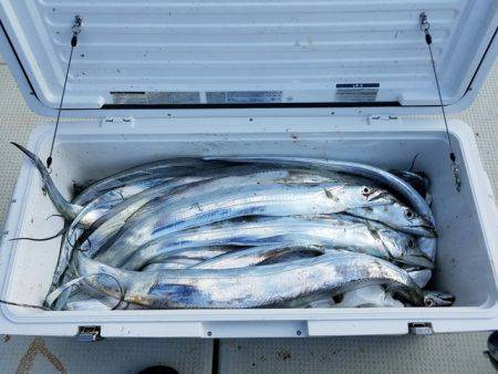 遊漁船　ニライカナイ 釣果