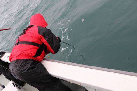 スカイマリン 釣果