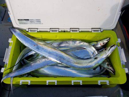 遊漁船 ニライカナイ 釣果