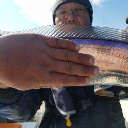 遊漁船 ニライカナイ 釣果