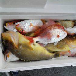 第二大福丸 釣果