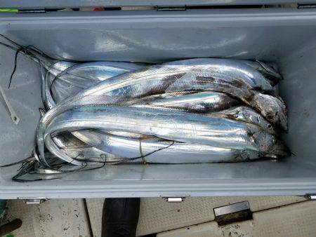 遊漁船　ニライカナイ 釣果