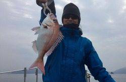 YELLOW-TAIL イエローテール 釣果