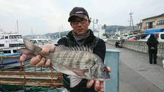 まこと渡船 釣果