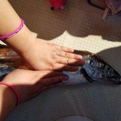 遊漁船 ニライカナイ 釣果