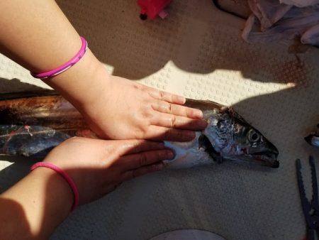 遊漁船 ニライカナイ 釣果