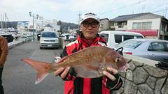 まこと渡船 釣果