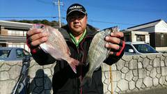 まこと渡船 釣果