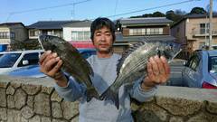 まこと渡船 釣果