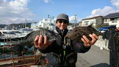 まこと渡船 釣果