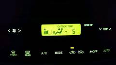 まこと渡船 釣果