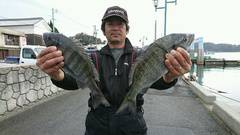 まこと渡船 釣果