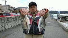 まこと渡船 釣果