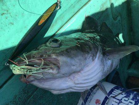 広進丸 釣果