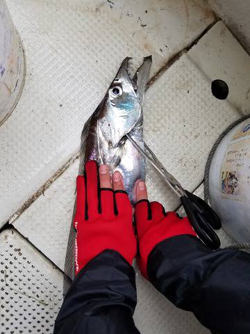 遊漁船 ニライカナイ 釣果