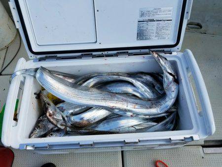 遊漁船　ニライカナイ 釣果