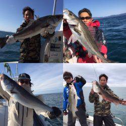 シーモンキー 釣果