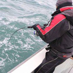 スカイマリン 釣果