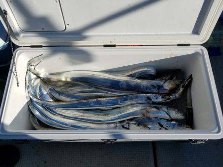 遊漁船　ニライカナイ 釣果