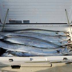 遊漁船　ニライカナイ 釣果