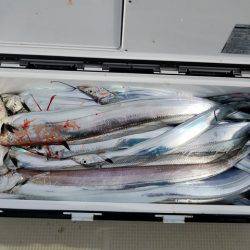 遊漁船 ニライカナイ 釣果