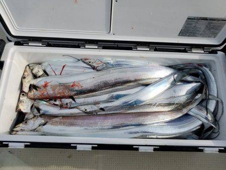 遊漁船 ニライカナイ 釣果