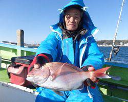 久里浜黒川本家 釣果
