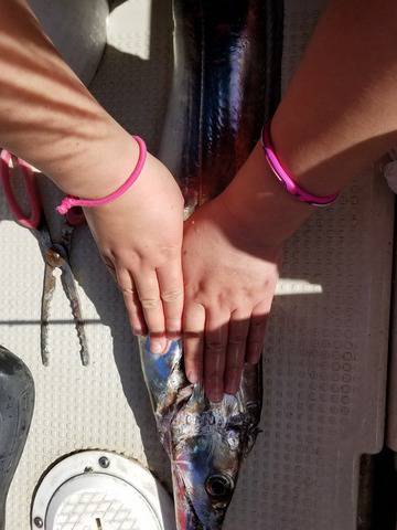 遊漁船 ニライカナイ 釣果