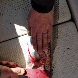 遊漁船 ニライカナイ 釣果