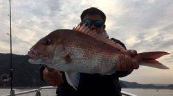 YELLOW-TAIL　イエローテール 釣果