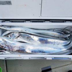 遊漁船 ニライカナイ 釣果