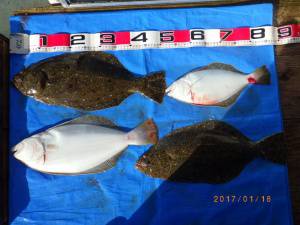 石川丸 釣果