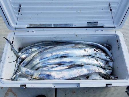 遊漁船　ニライカナイ 釣果