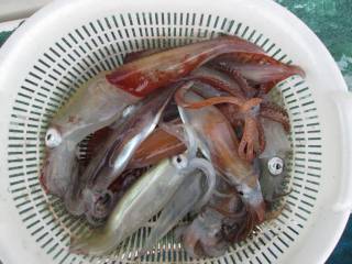 なかくに丸 釣果