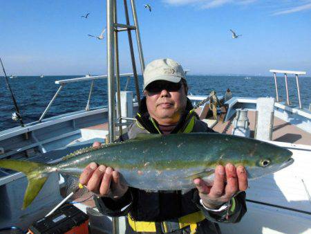 大進丸（愛知） 釣果