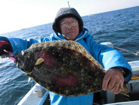 大進丸（愛知） 釣果