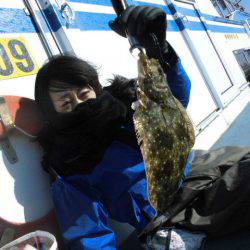 大進丸（愛知） 釣果