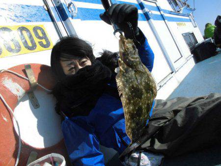 大進丸（愛知） 釣果