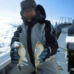 大進丸（愛知） 釣果