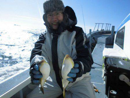 大進丸（愛知） 釣果