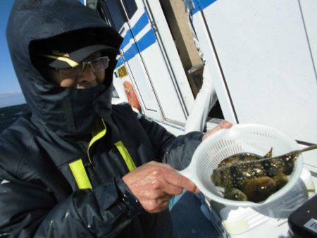 大進丸（愛知） 釣果