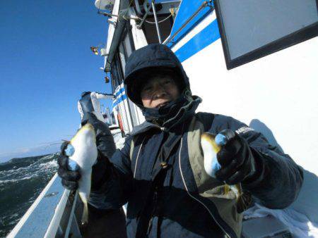 大進丸（愛知） 釣果