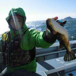 大進丸（愛知） 釣果
