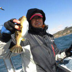 大進丸（愛知） 釣果