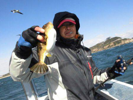 大進丸（愛知） 釣果