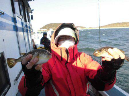 大進丸（愛知） 釣果