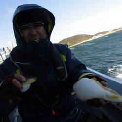 大進丸（愛知） 釣果