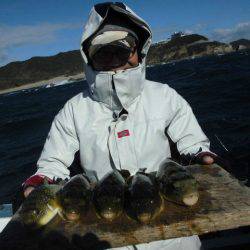 大進丸（愛知） 釣果